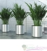 Brushed or Polished Metalized Chrome or Brass finish (ILM) Interior Landscape Containers